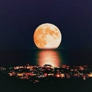 Meet your Posher, Ruby